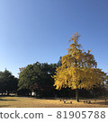 在迷人的秋日天空中看起來很幸福的銀杏 81905788