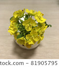 油菜花小花束 81905795