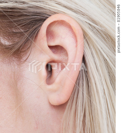 Woman ear 81905846