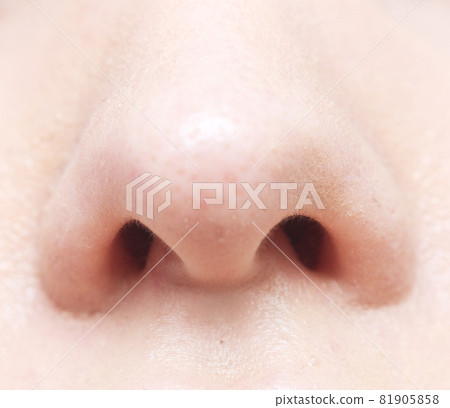 Human nose Human nose 81905858