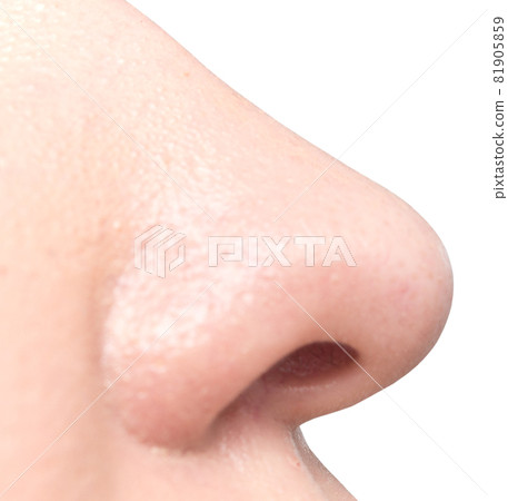 Nose on white Nose on white 81905859