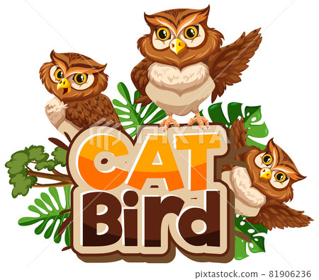 Many Owls cartoon character with Cat Bird font banner isolated Many Owls cartoon character with Cat Bird font banner isolated 81906236