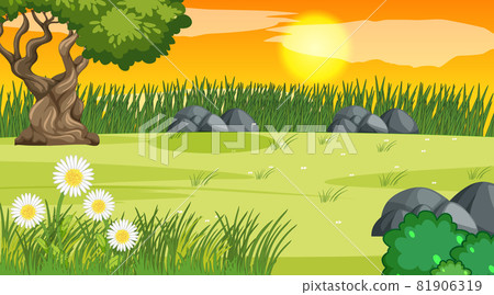 Blank landscape scene of nature park at sunset time Blank landscape scene of nature park at sunset time 81906319
