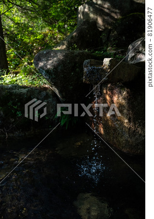 大壩上游泉水 | 高透明度的冷名水與自然融為一體的人造物 大壩上游泉水 | 高透明度的冷名水與自然融為一體的人造物 81906477