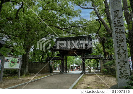 Koboyama Henshoin 81907386