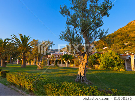 Park in Sveti Stefan - Montenegro 81908186