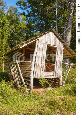 Wooden hay rack storage in forest. 81908217