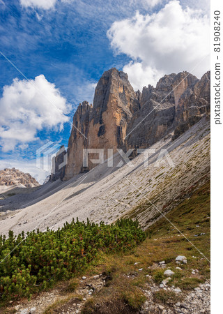 Drei Zinnen or Tre Cime di Lavaredo and Monte Paterno - Dolomites Italian Alps 81908240