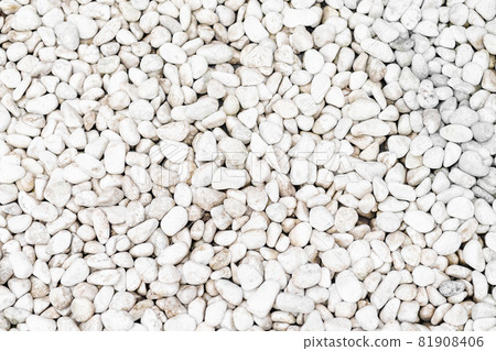 花園中鋪白球礫石的背景材料 花園中鋪白球礫石的背景材料 81908406