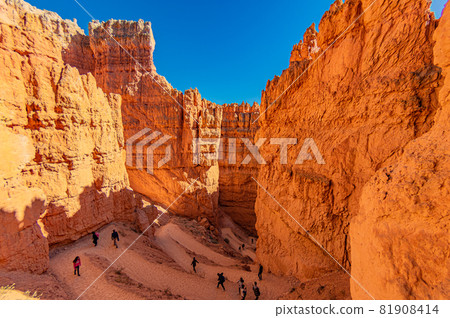 The winding road of Navajo Loop in Bryce Canyon The winding road of Navajo Loop in Bryce Canyon 81908414