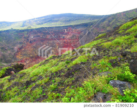 Izu Oshima Miharayama crater 81909210