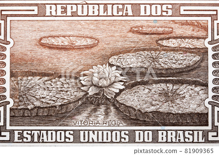 Victoria amazonica from old Brazilian money 81909365