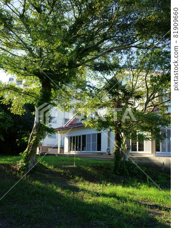 Site with swing Site with swing 81909660