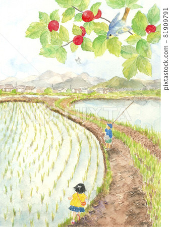 昭和形像風景水稻種植毛毛兒童[手繪水彩] 81909791