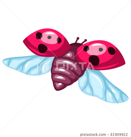 Illustration of colorful beautiful ladybug. Stylized insect. 81909922
