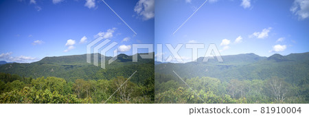 Image of how cataracts look Image of how cataracts look 81910004