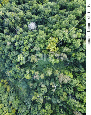 鳥瞰北海道的森林（中山坳附近） 81910010