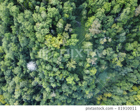 鳥瞰北海道的森林（中山坳附近） 81910011
