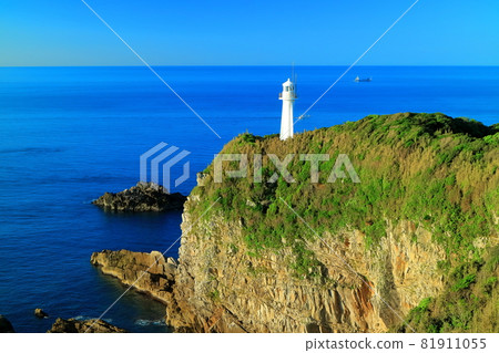 [Kochi Prefecture] Cape Ashizuri under clear skies 81911055