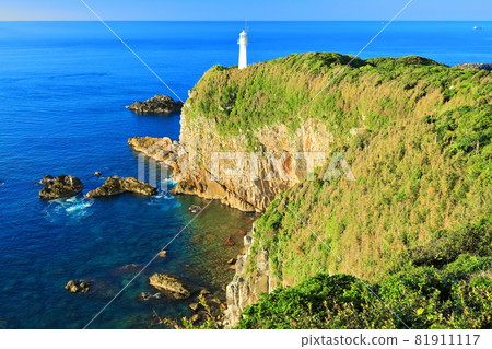 [Kochi Prefecture] Cape Ashizuri under clear skies 81911117