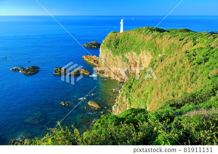 [Kochi Prefecture] Cape Ashizuri under clear skies 81911131