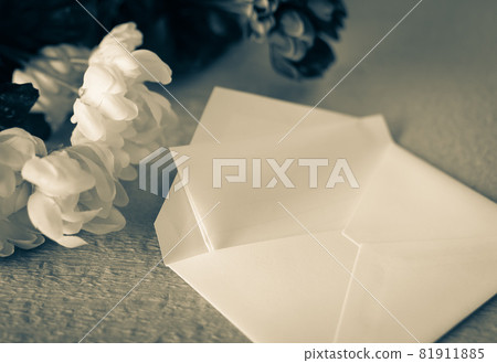 Chrysanthemum flower and letter Condolence letter Obituary 81911885