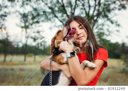 Young woman Embracing beagle 81912249