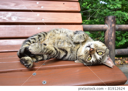 鹿兒島觀光 Mujaki、知蘭、櫻島 81912624