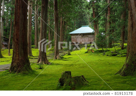 白山平泉寺和苔蘚地區 81913178