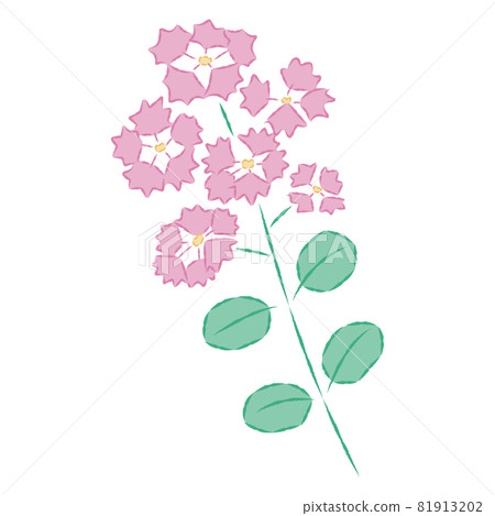 紫薇的插圖 81913202