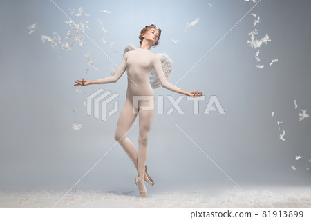 Full-length portrait of beautiful graceful ballerina dancing in image of angel with wings isolated on gray studio background. Art, motion, action, flexibility, inspiration concept. Full-length portrait of beautiful graceful ballerina dancing in image of angel with wings isolated on gray studio background. Art, motion, action, flexibility, inspiration concept. 81913899