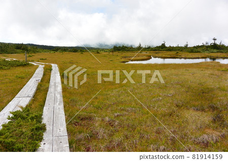 Azuma的山峰 81914159