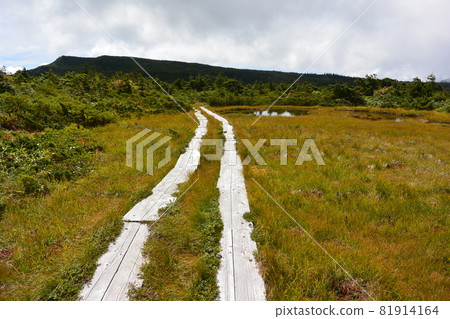 Azuma的山峰 Azuma的山峰 81914164