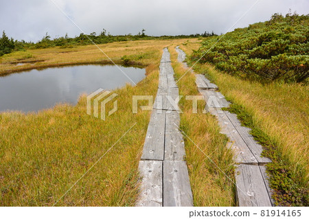 Azuma的山峰 Azuma的山峰 81914165
