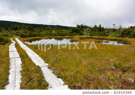 Azuma的山峰 Azuma的山峰 81914166