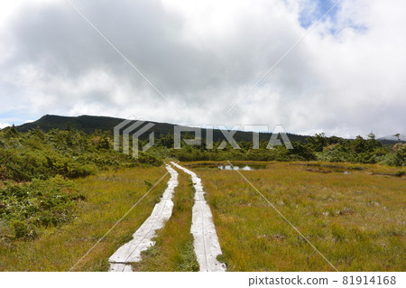 Azuma的山峰 Azuma的山峰 81914168