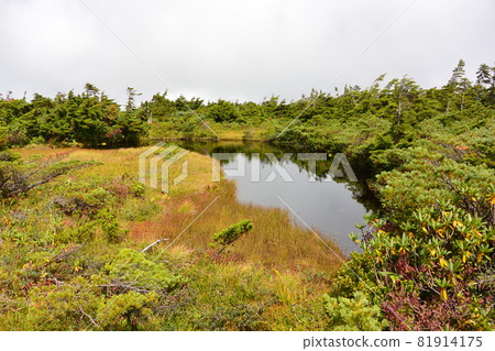 Azuma的山峰 Azuma的山峰 81914175