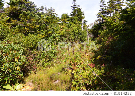 Azuma的山峰 Azuma的山峰 81914232