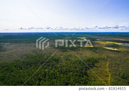 Aerial view from drone on bogs, gallant pine and birch forests in different colors such as light, dark green, emerald, yellow and deep blue lakes on a sunny day Aerial view from drone on bogs, gallant pine and birch forests in different colors such as light, dark green, emerald, yellow and deep blue lakes on a sunny day 81914915