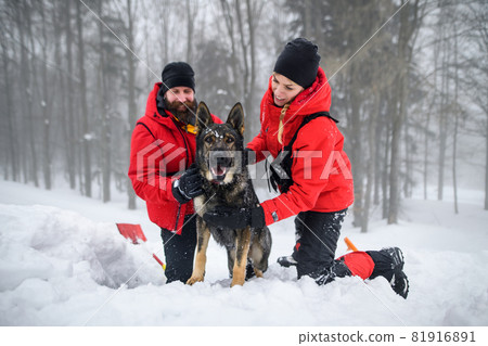 Mountain rescue service with dog on operation outdoors in winter in forest, digging snow. Mountain rescue service with dog on operation outdoors in winter in forest, digging snow. 81916891