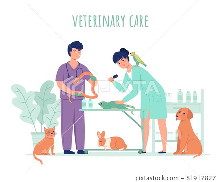 Vet doctor with animals. Veterinarians work process, pets examination and treatment, people professionals in medical office, health care in veterinary clinic, vector cartoon isolated concept 81917827