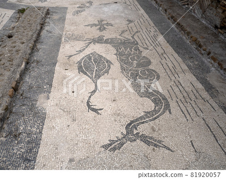 envy house mosaic old ancient ostia archeological ruins 81920057
