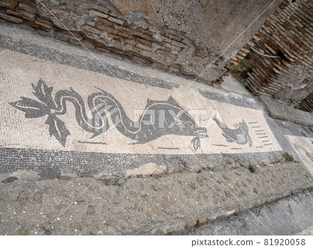 envy house mosaic old ancient ostia archeological ruins envy house mosaic old ancient ostia archeological ruins 81920058
