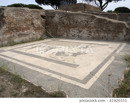 floor mosaic old ancient ostia archeological ruins 81920331