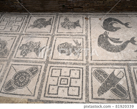 old ancient ostia archeological ruins bath complex mosaic 81920339