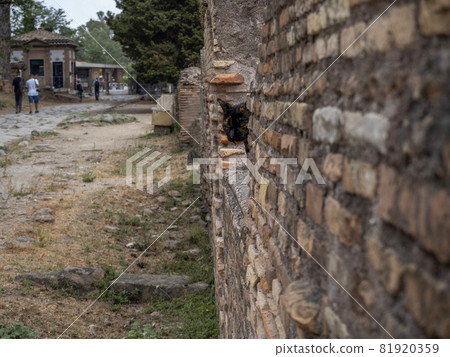 old ancient ostia archeological ruins 81920359