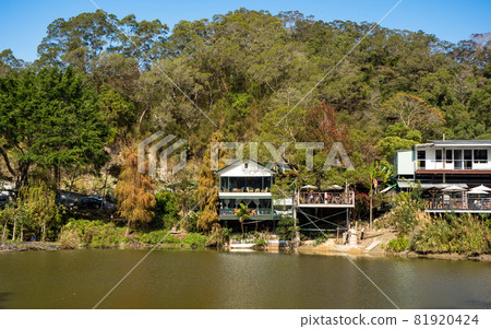 landscape of checheng timber pond, nantou, taiwan landscape of checheng timber pond, nantou, taiwan 81920424
