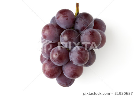 Seedless Kyoho (produced in Fukuoka Prefecture) White background White background Seedless Kyoho (produced in Fukuoka Prefecture) White background White background 81920687