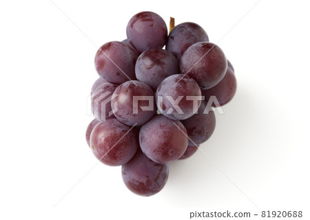 無核巨峰（福岡縣產） 白底 白底 81920688