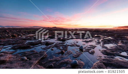 Botanical Beach on the West Coast of Pacific Ocean. Botanical Beach on the West Coast of Pacific Ocean. 81921505